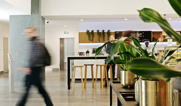 Cafe