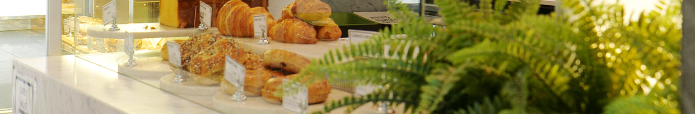 Pastries on the counter at a cafe